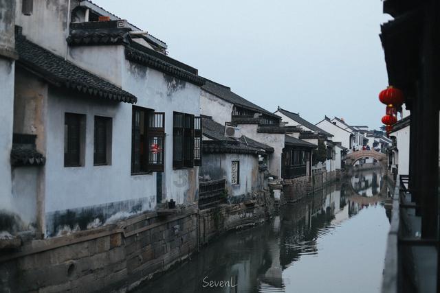 救援大嘴鸟